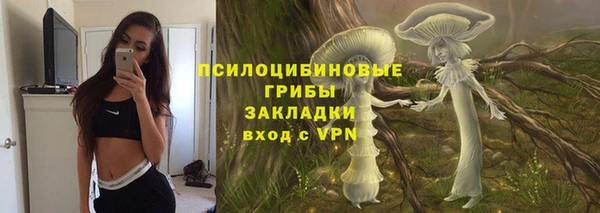 mix Бородино