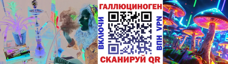 где можно купить наркотик  нарко площадка клад  Галлюциногенные грибы прущие грибы  Воронеж 