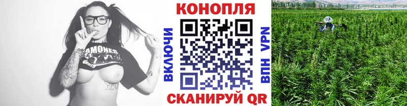 Бошки Шишки MAZAR  ОМГ ОМГ вход  Воронеж 